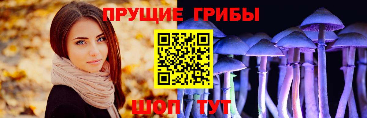 Галлюциногенные грибы Magic Shrooms Лиски